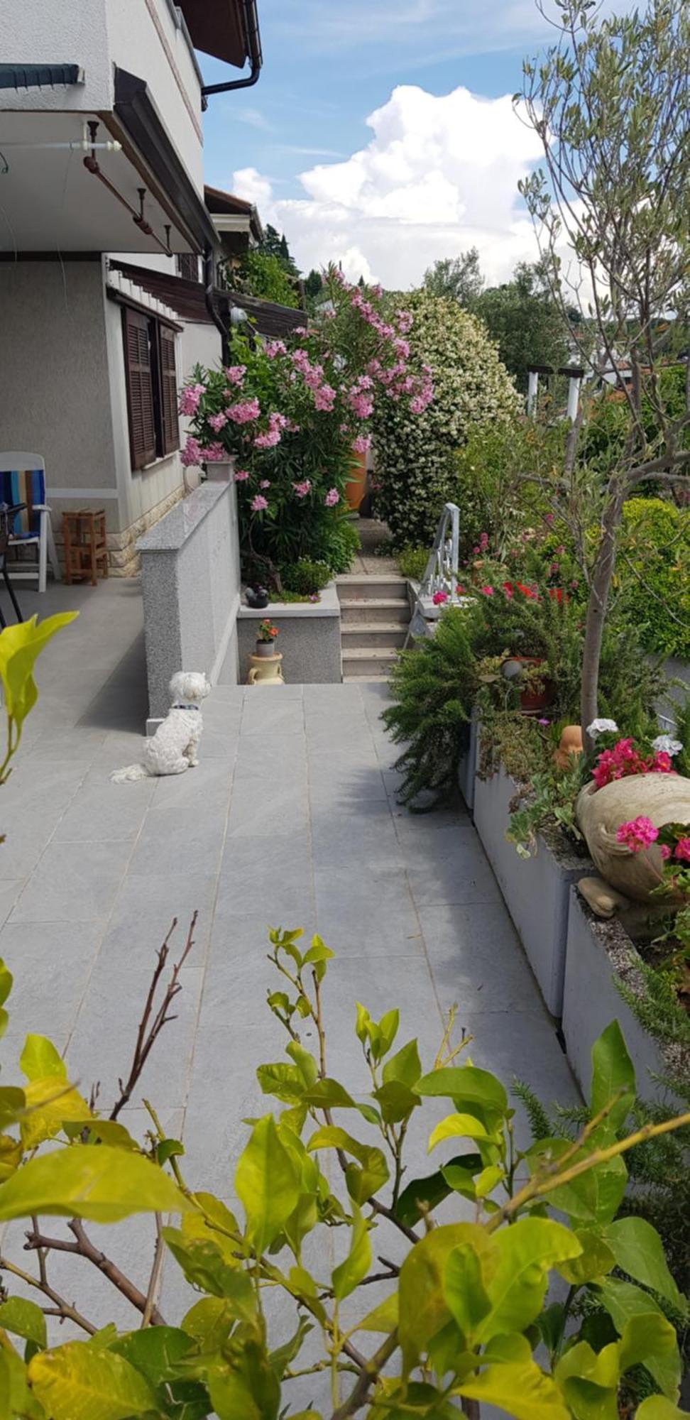 Tramontana Apartment Lucija Ngoại thất bức ảnh